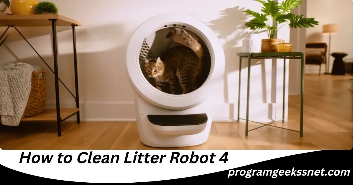 How to Clean Litter Robot 4