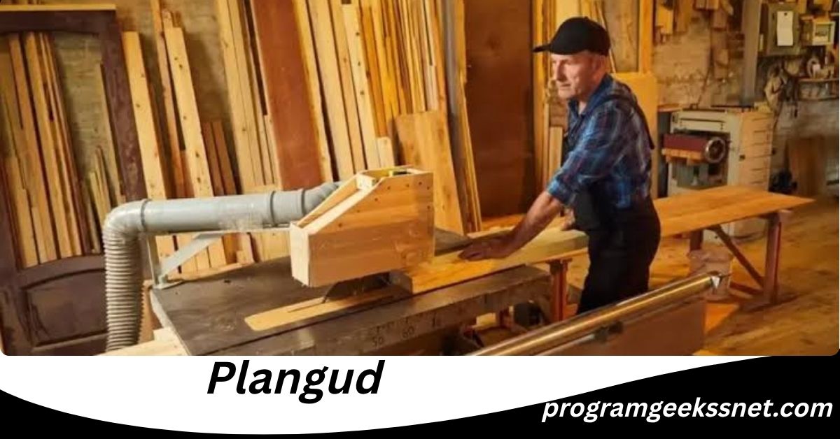Plangud
